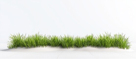 Sea oats and beach grass, styled in a wave-like pattern, featured in a coastal restoration project to combat erosion, displayed on a transparent background.