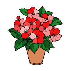 Vibrant bouquet of red and pink flowers in a pot bringing color to any space