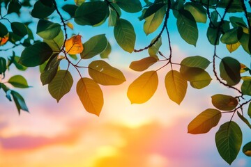 Green leaves are backlit by a vivid sunset, creating a striking contrast of colors, symbolizing nature's beauty and evening calmness, in an abstract composition.