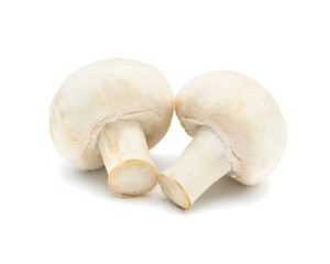 Two whole white mushrooms on white background