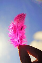 Pink spotted bird feather in human fingers on blue sky background