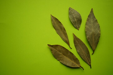 Five dry bay leaves on the green table