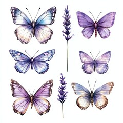 Collection set watercolor pastel butterflies fluttering over blooming lavender