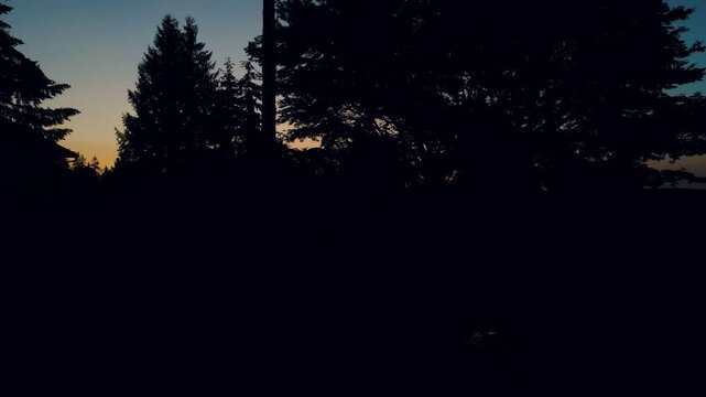 Aerial landscape of Lake Washington forest and mountains at sunset Bellevue suburb of Seattle WA