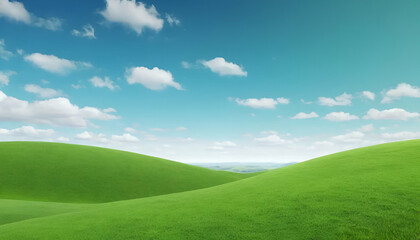 green grass and blue sky