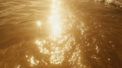 Golden sunlight reflecting on water surface, creating sparkling patterns.