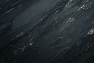 Obraz premium A captivating and artistically designed black abstract backdrop for your artistic work