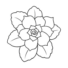 Black and white outline of a begonia flower with detailed petals and leaves