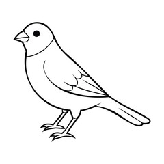 Simple black and white line art of a canary bird, featuring clean, bold outlines