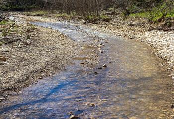 sunny day, nature park, walk along the riverbank with an overview of the bottom structure