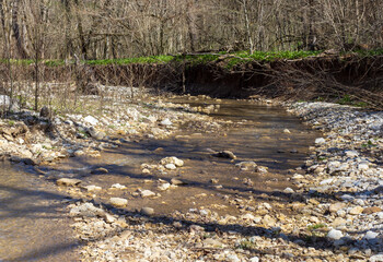sunny day, nature park, walk along the riverbank with an overview of the bottom structure
