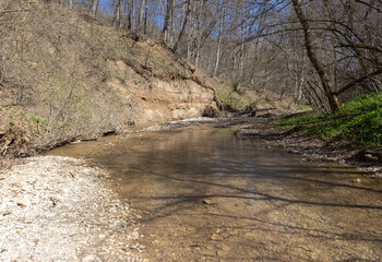 sunny day, nature park, walk along the riverbank with an overview of the bottom structure