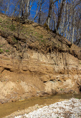 sunny day, nature park, walk along the riverbank with an overview of the bottom structure