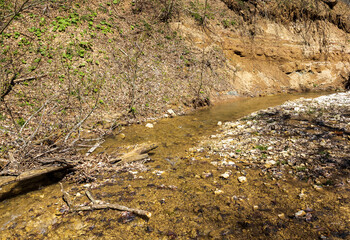 sunny day, nature park, walk along the riverbank with an overview of the bottom structure