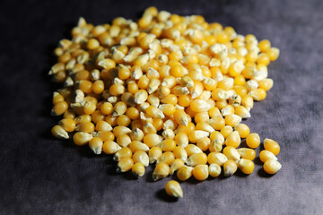 Corn seeds on a black background