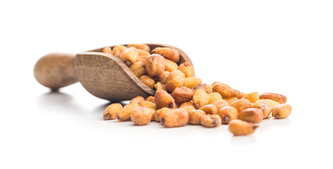 Roasted salted corn snack in scoop  isolated on white background.