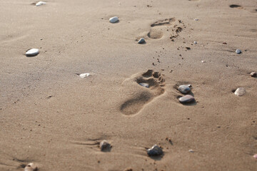 footsteps on the sand