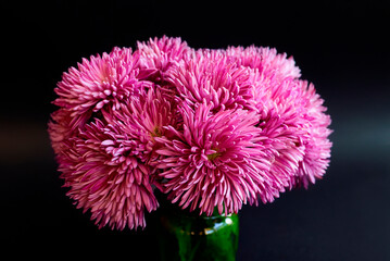 bouquet of flowers pink chrysanthemum on black background texture of watercolor paper
