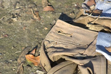 khaki pants lost in dirt and leaves