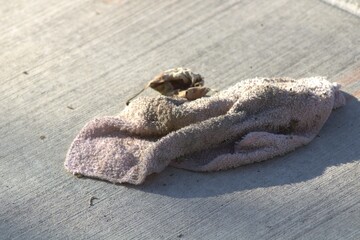 light pink microfiber cleaning cloth up close