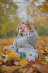 Little boy playing in autumn park. Child on yellow fallen leaves on a sunny autumn day.