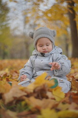 Little boy playing in autumn park. Child on yellow fallen leaves on a sunny autumn day.