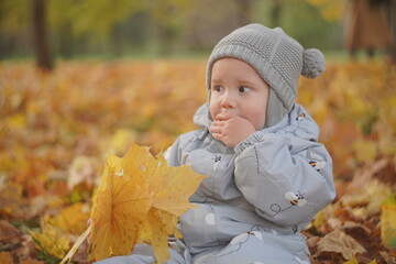 Little boy playing in autumn park. Child on yellow fallen leaves on a sunny autumn day.