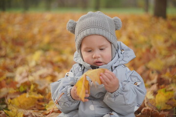 Little boy playing in autumn park. Child on yellow fallen leaves on a sunny autumn day.