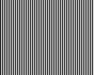A view of thin black and white stripes, as a background.