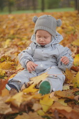 Little boy playing in autumn park. Child on yellow fallen leaves on a sunny autumn day.