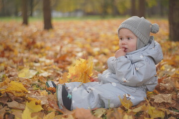 Little boy playing in autumn park. Child on yellow fallen leaves on a sunny autumn day.