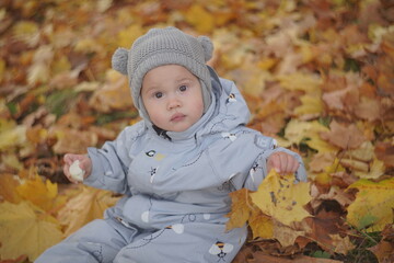 Little boy playing in autumn park. Child on yellow fallen leaves on a sunny autumn day.