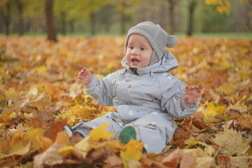 Little boy playing in autumn park. Child on yellow fallen leaves on a sunny autumn day.