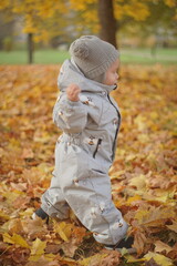 Little boy playing in autumn park. Child on yellow fallen leaves on a sunny autumn day.
