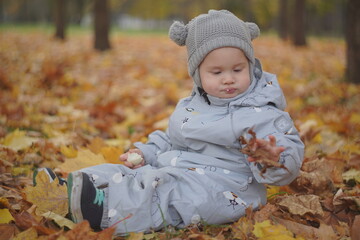 Little boy playing in autumn park. Child on yellow fallen leaves on a sunny autumn day.