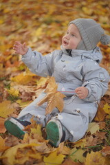 Little boy playing in autumn park. Child on yellow fallen leaves on a sunny autumn day.
