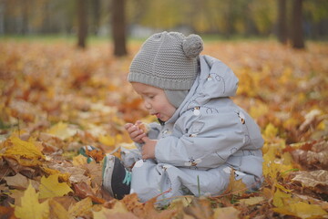 Little boy playing in autumn park. Child on yellow fallen leaves on a sunny autumn day.