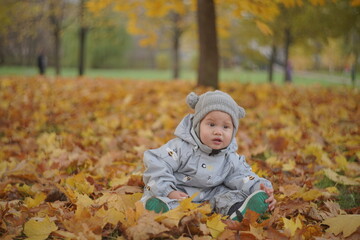 Little boy playing in autumn park. Child on yellow fallen leaves on a sunny autumn day.