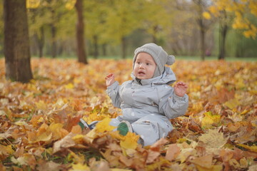 Little boy playing in autumn park. Child on yellow fallen leaves on a sunny autumn day.