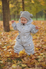 Little boy playing in autumn park. Child on yellow fallen leaves on a sunny autumn day.