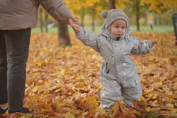 Little boy playing in autumn park. Child on yellow fallen leaves on a sunny autumn day.