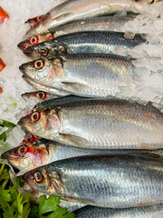Fresh fish on ice on a market stall