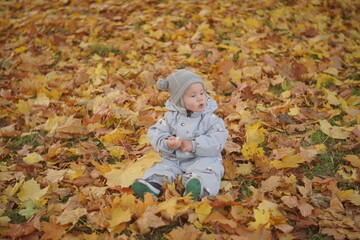 Little boy playing in autumn park. Child on yellow fallen leaves on a sunny autumn day.