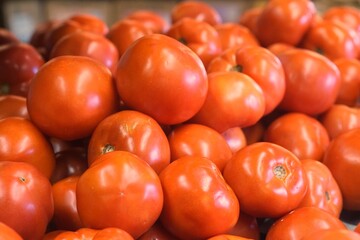 Organic Raw Fresh Garden Farmer's Market Tomato Vegetables