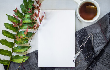 Flat lay of a book displayed with a cup of tea, reading glasses and plant	in a winter scenery