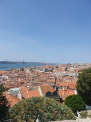 Fototapeta premium Un bonito paisaje