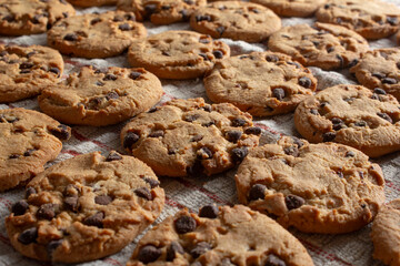 A view of a layer of commercially-produced chocolate chip cookies.
