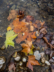 Autumn images of the village of Teresa (Castellón-Spain)