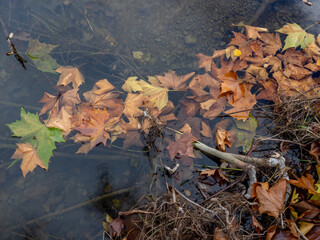 Autumn images of the village of Teresa (Castellón-Spain)