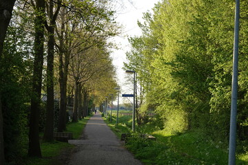 alley in the park